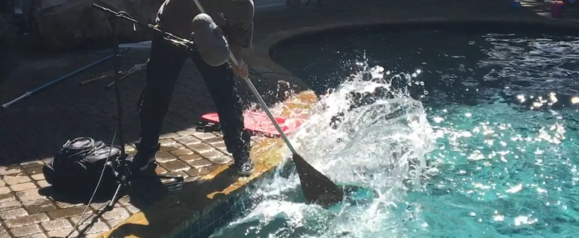 POOL SHARK // MANEATER FIELD RECORDING